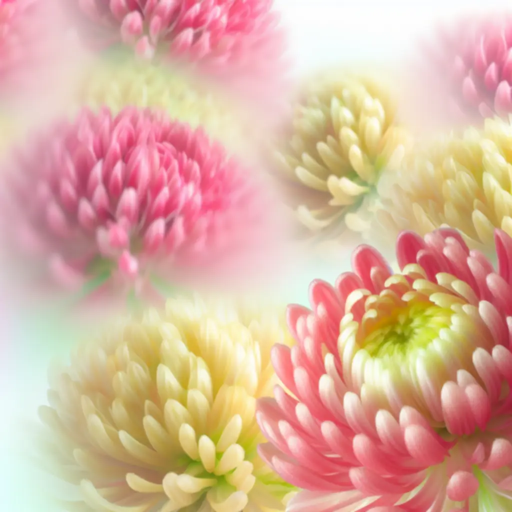 Közelkép friss vágott virágokról, jól kivehető szirmokkal és részletekkel